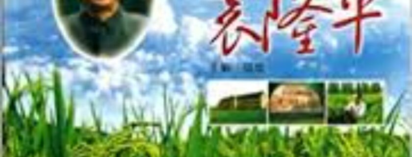中华传统云端传播 袁隆平事迹弘扬海外